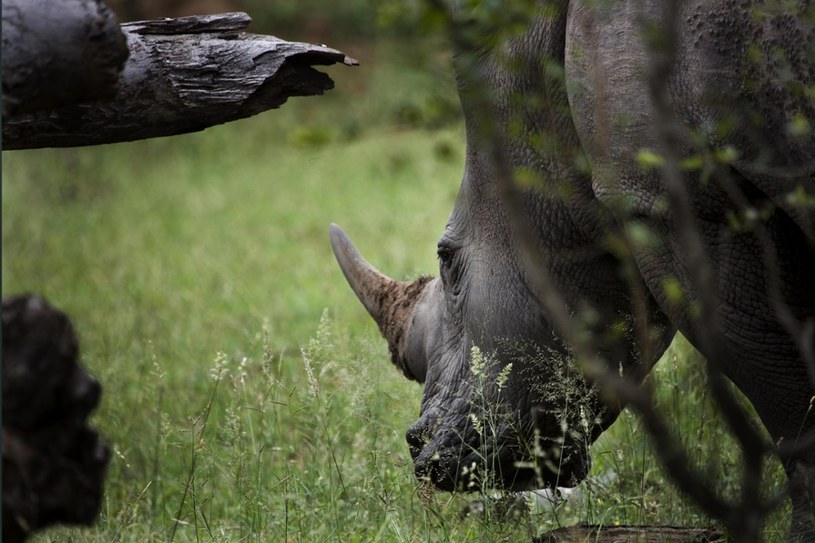 Zdj. ilustracyjne /AP/Associated Press/East News /East News
