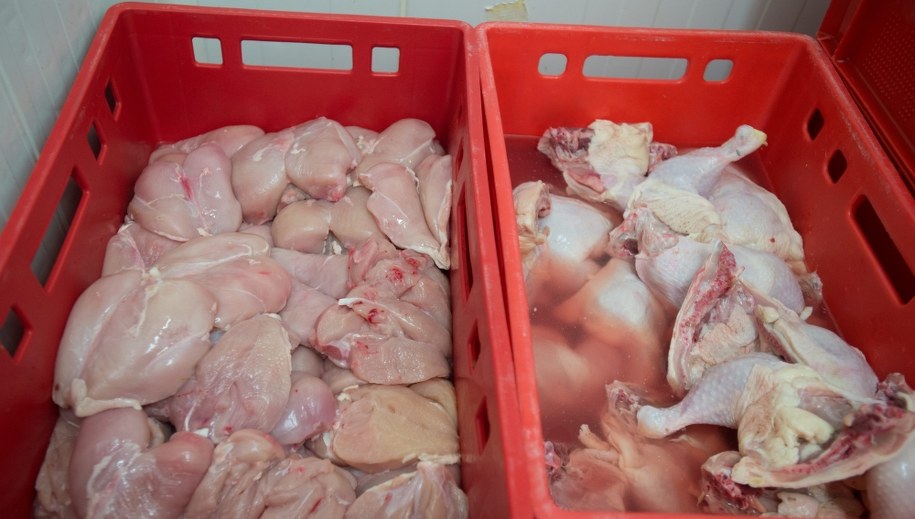 Ponad 300 lekarzy brakuje w inspektoratach weterynarii w całym kraju