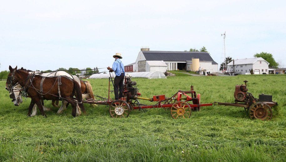 Farmerzy ofiarami wojny handlowej USA - Chiny. Stracili główny rynek zbytu