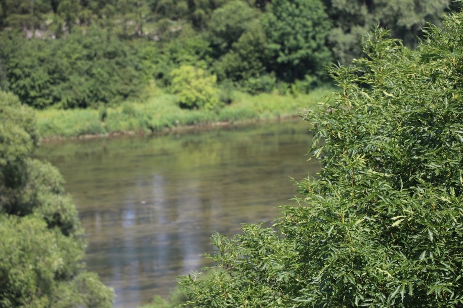 Śląskie: Trzy osoby zginęły w nurtach wezbranych rzek