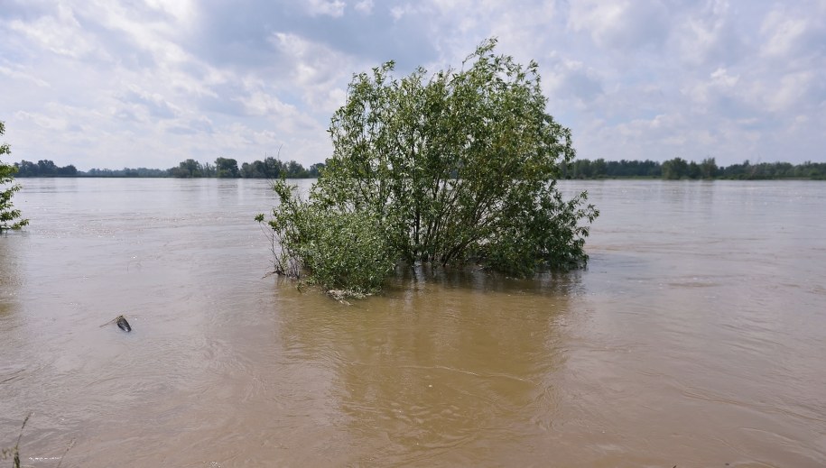 IMGW ostrzega: Wezbrania na dolnej Wiśle i na dolnej Odrze