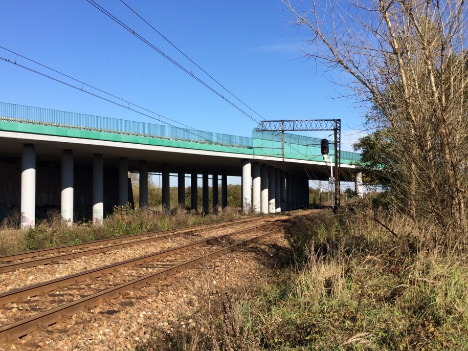 "Puls Biznesu": Będą kary dla winnych za spóźnienie pociągu