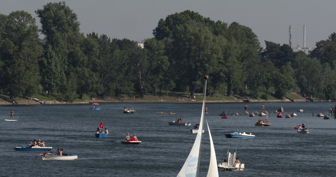 zdj. ilustracyjne /JOE KLAMAR / AFP /AFP