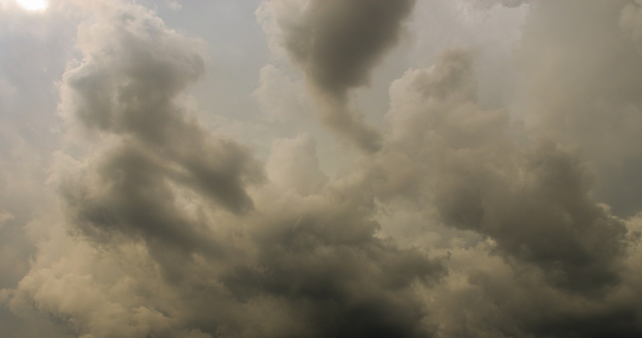 Zdj. ilustracyjne /Adam Staskiewicz/ /East News