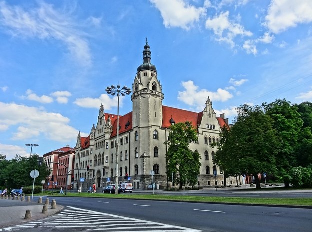 Wyszła z psem na spacer. Na pasach zabił ją odurzony kierowca