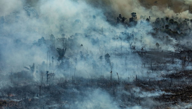 Pożary lasów w Amazonii. 44 tys. żołnierzy oddelegowanych do walki z żywiołem