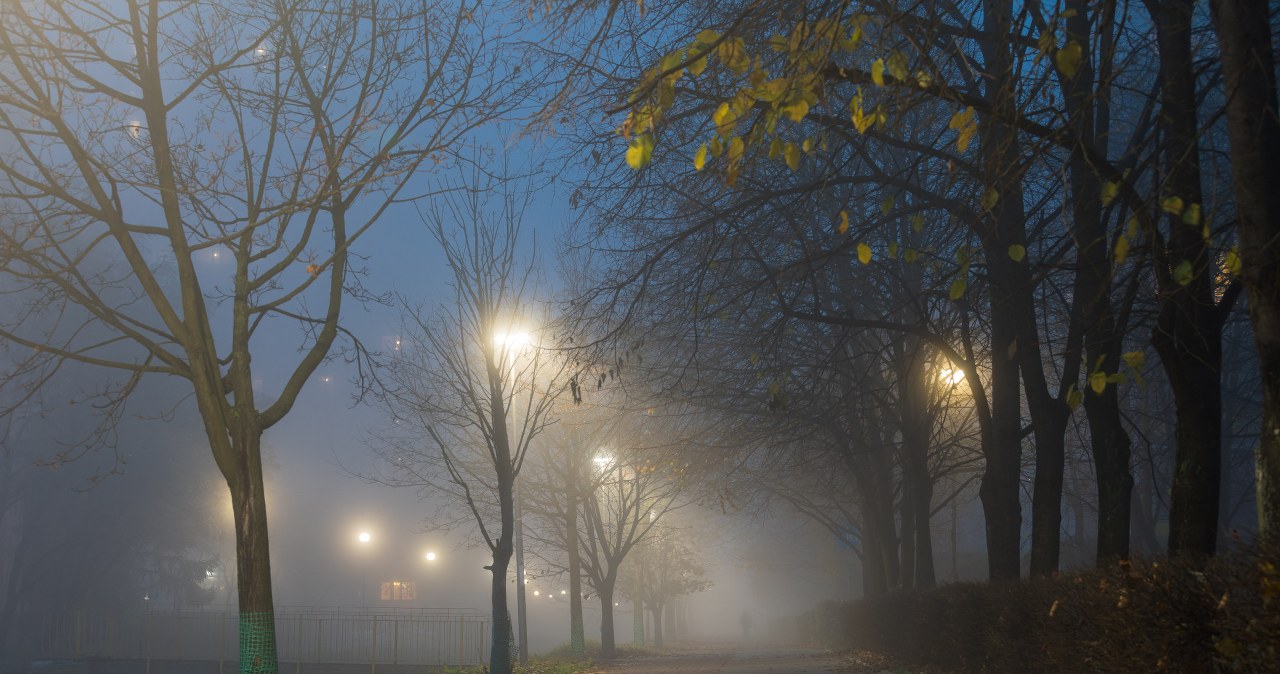 Zdj. ilustracyjne /ARKADIUSZ ZIOLEK /East News