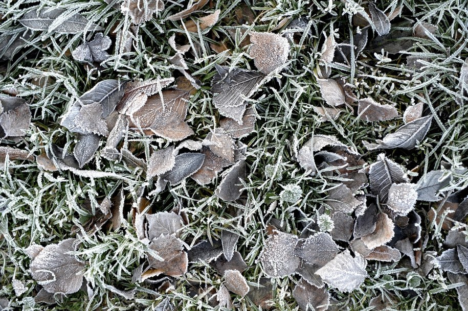 Pogoda: Nadchodzi ochłodzenie! Przymrozki, śnieg i oblodzenia