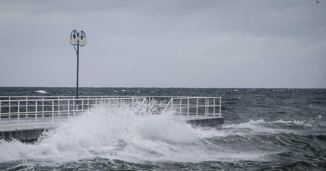 zdj. ilustracyjne /Karolina Misztal /Reporter