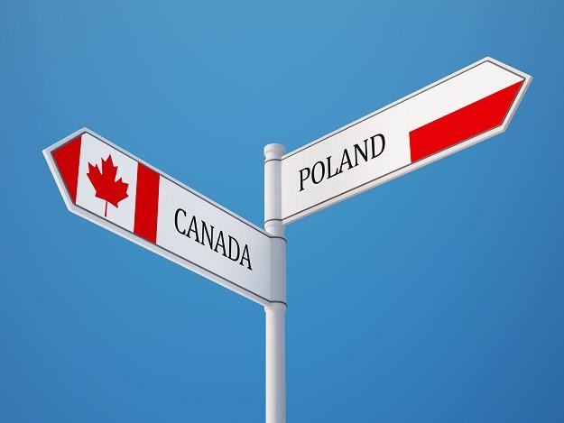 Польша лучше россии. Канада и Польша. Канада и Грузия. Polish Canadians.