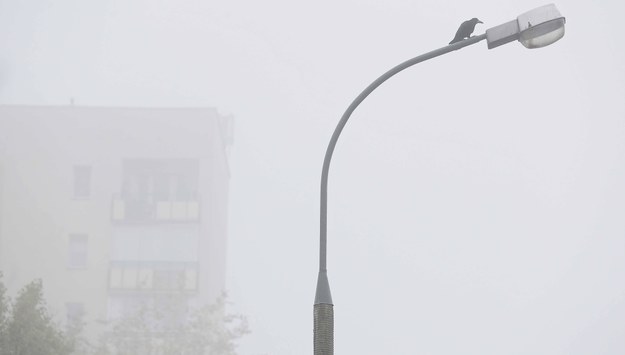 Gęste mgły w ośmiu województwach. IMGW ostrzega