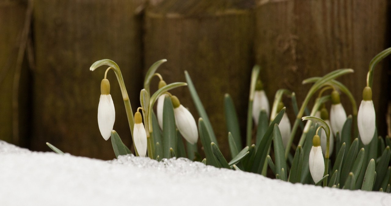 Zdj. ilustracyjne /KAROL SEREWIS /East News