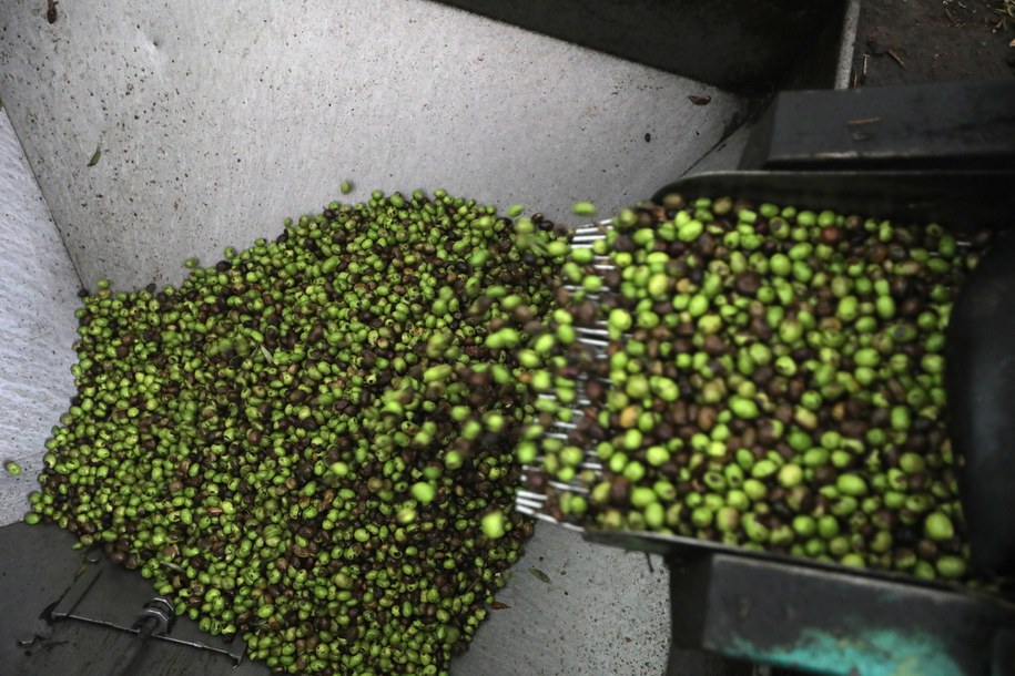 Gigantyczne straty producentów oliwy z powodu koronawirusa