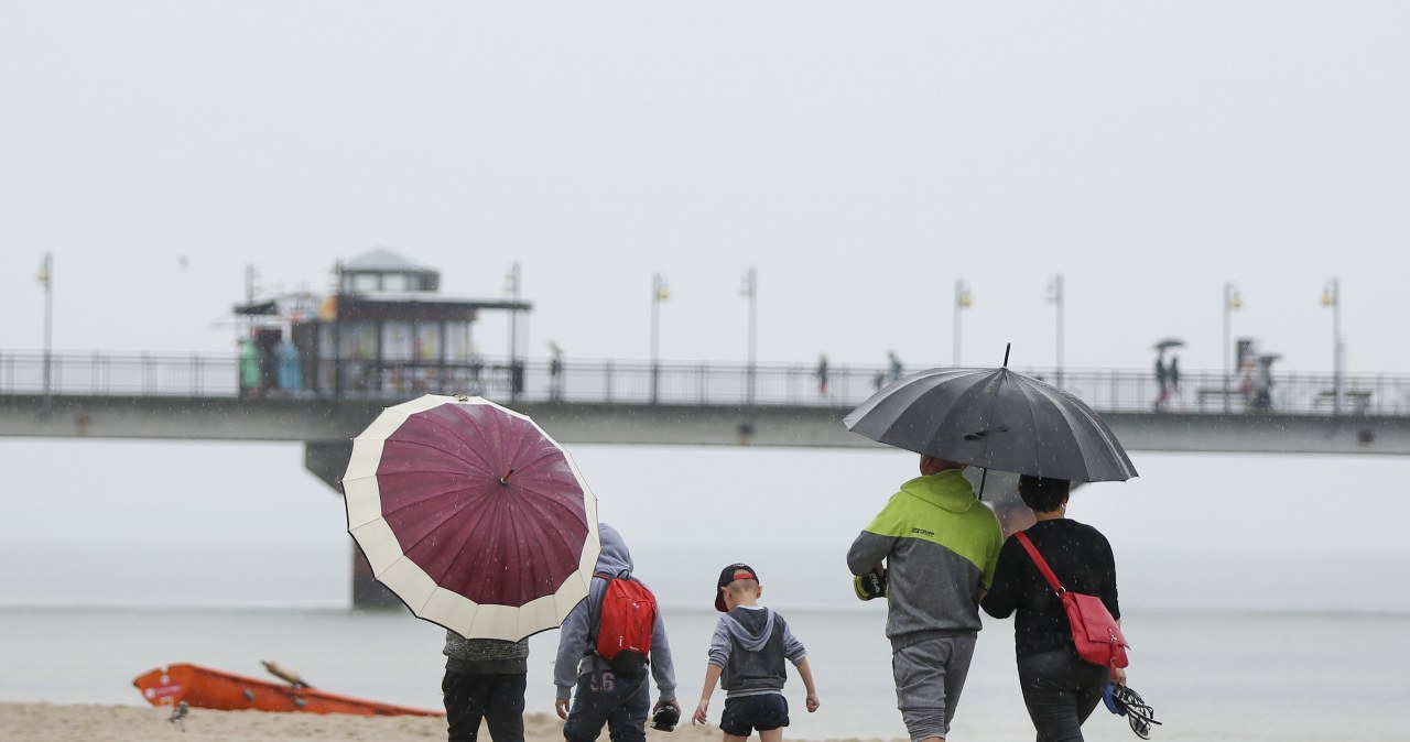 Zdj. ilustracyjne /Beata Zawrzel /Reporter