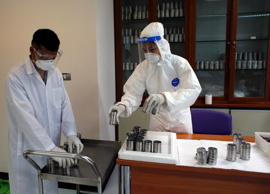 WHO: Liczba ofiar pandemii może wynosić od 6 do 8 mln