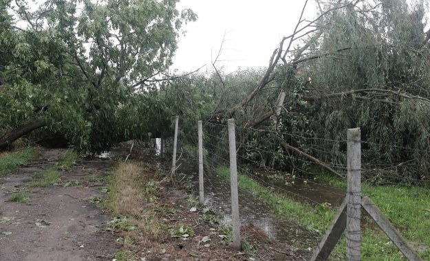 Burze na Podlasiu. Połamane konary, kilka tysięcy osób bez prądu