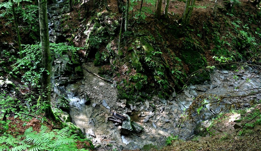 Śliskie i błotniste szlaki w Bieszczadach. Wędrówki mogą być trudne