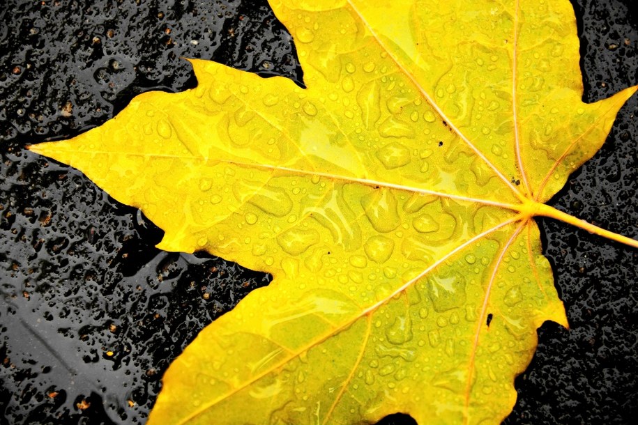 Prognoza pogody na niedzielę. Listopad pokaże prawdziwą twarz