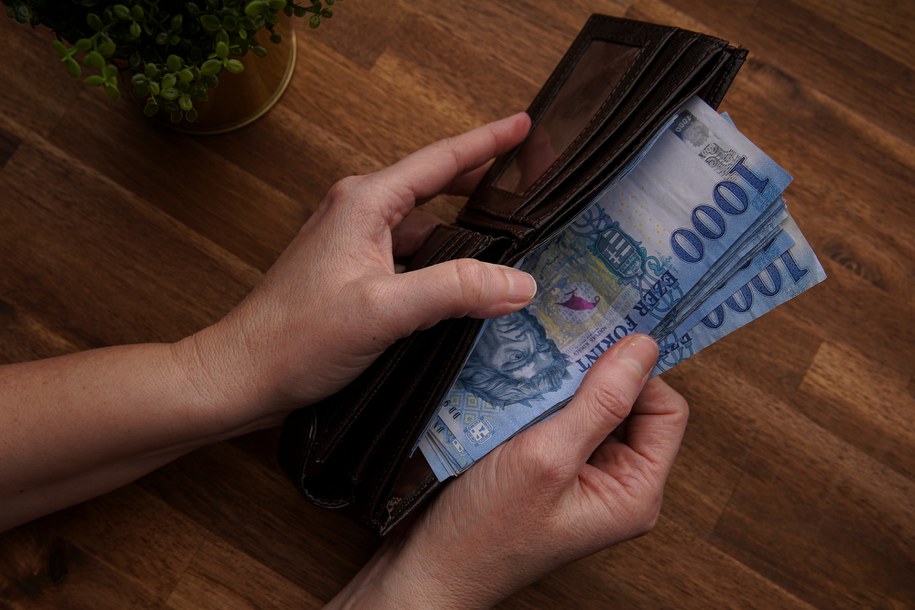 Węgry po raz szósty podnoszą stopy procentowe