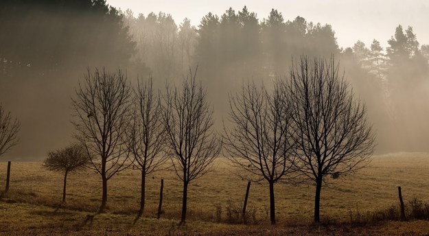 Czwartek będzie pogodny. Termometry wskażą do 7 stopni