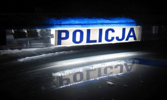 Brutalnie zabił szczeniaki. Grożą mu 3 lata więzienia