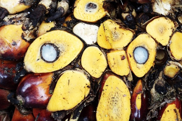 Ceny oleju palmowego poszybują. Powodem decyzja Indonezji
