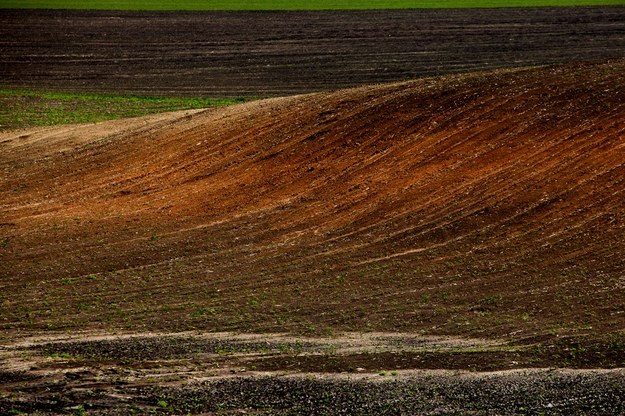 W Mołdawii trwa największa od 25 lat susza. Zagrożone są uprawy zbóż