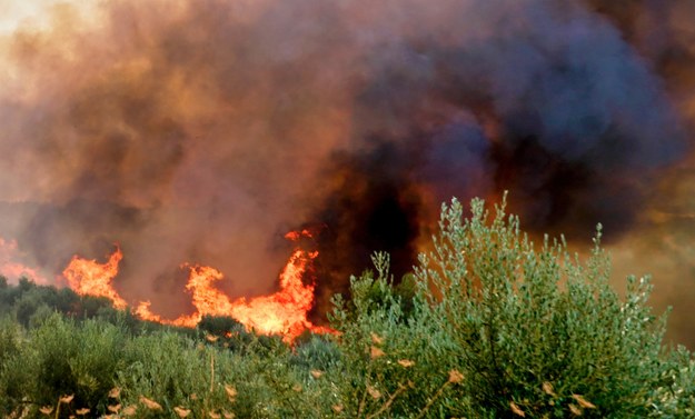 Pożar na granicy Bułgarii i Grecji. Deszczu nie było od lipca