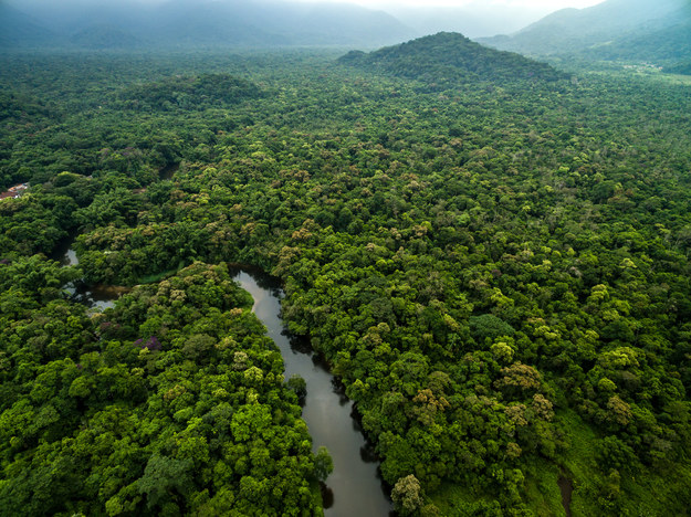 Tempo wylesiania Puszczy Amazońskiej niższe niż w poprzednim roku