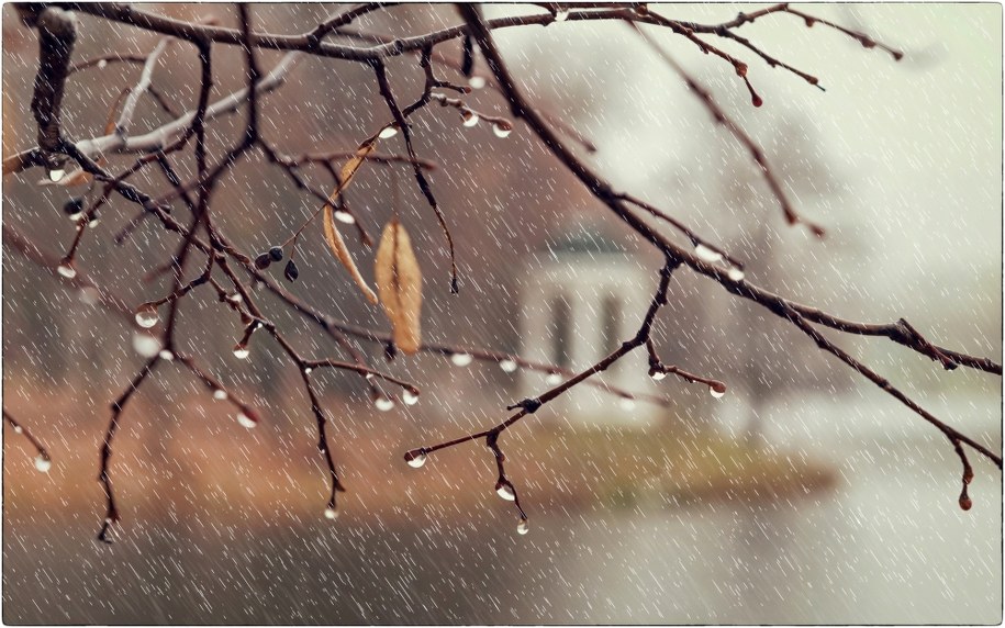 Nadchodzi ochłodzenie. Niedziela wietrzna i deszczowa