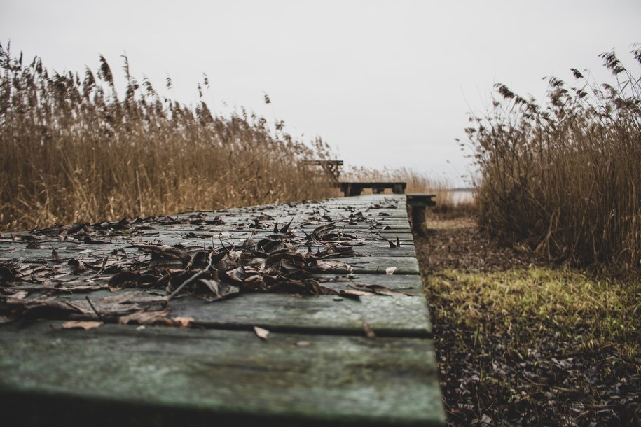 Pogrążył go dziennik. Grzegorz L. skazany za śmierć adopcyjnego ojca