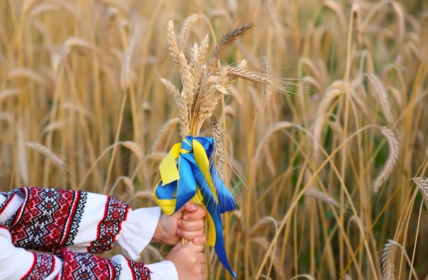 Węgry zakazały tymczasowo importu produktów rolnych z Ukrainy