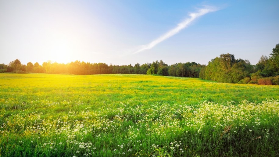 Pogoda w majówkę. Najnowsza prognoza