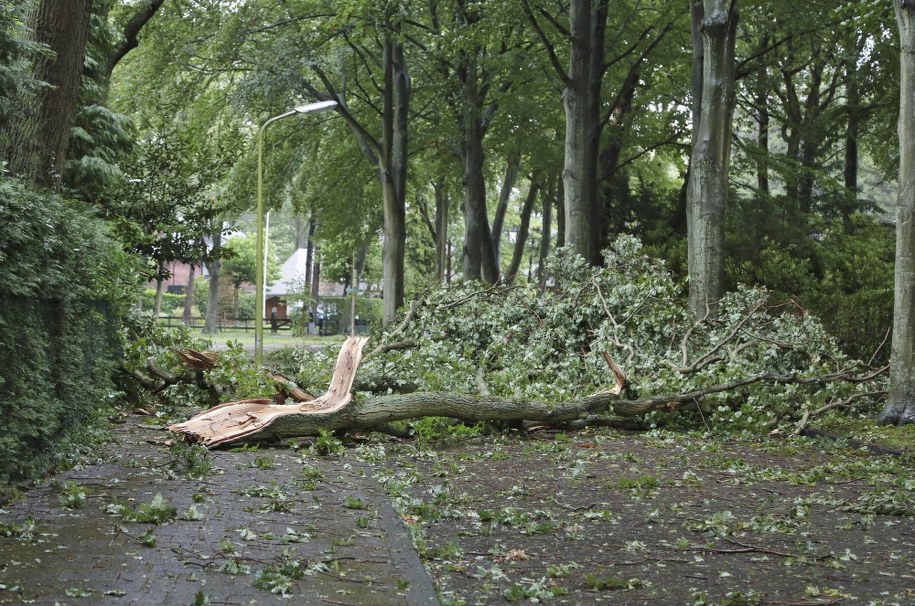 Zerwane dachy, połamane drzewa. Silne burze nad Polską