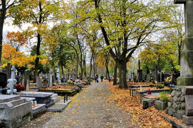 Za 10 lat może zabraknąć miejsc na cmentarzach. Pilnie potrzebna nowa ustawa