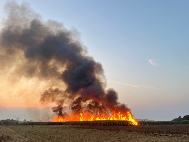 16-latek wywołał 18 pożarów. Straty są ogromne