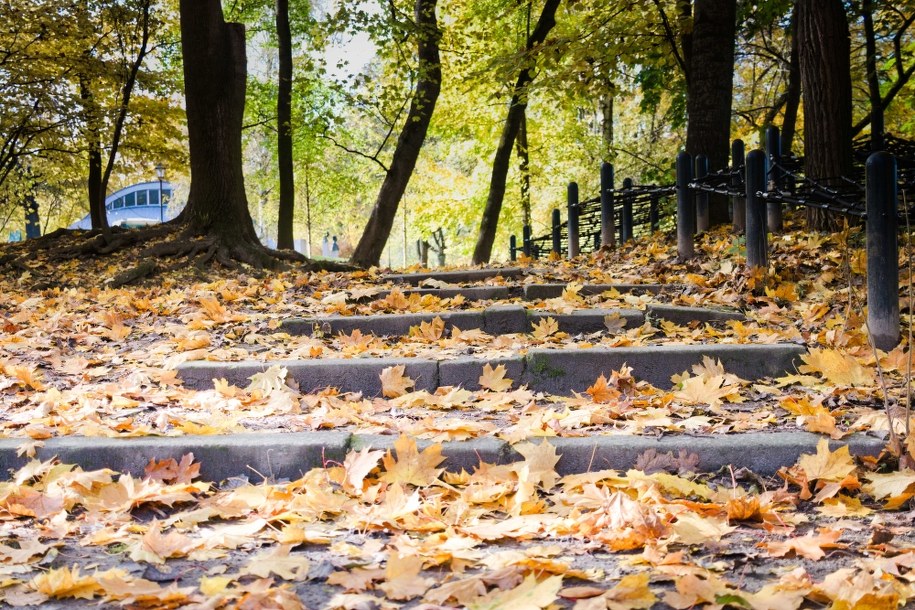 Deszcz, wiatr i zachmurzenie. Prognoza pogody na nowy tydzień