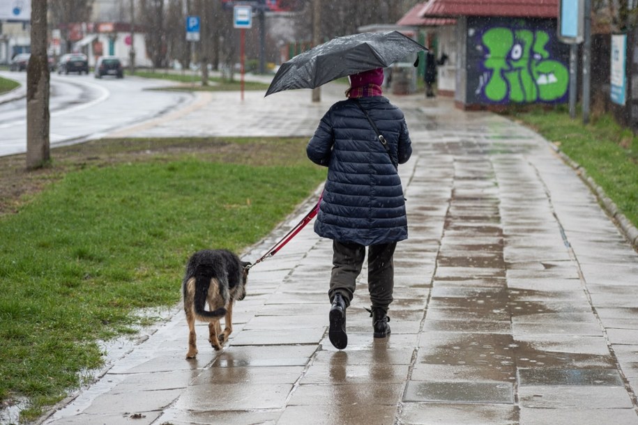 Nowy tydzień w pogodzie: Deszcz i nawet 12 stopni. A potem ochłodzenie...