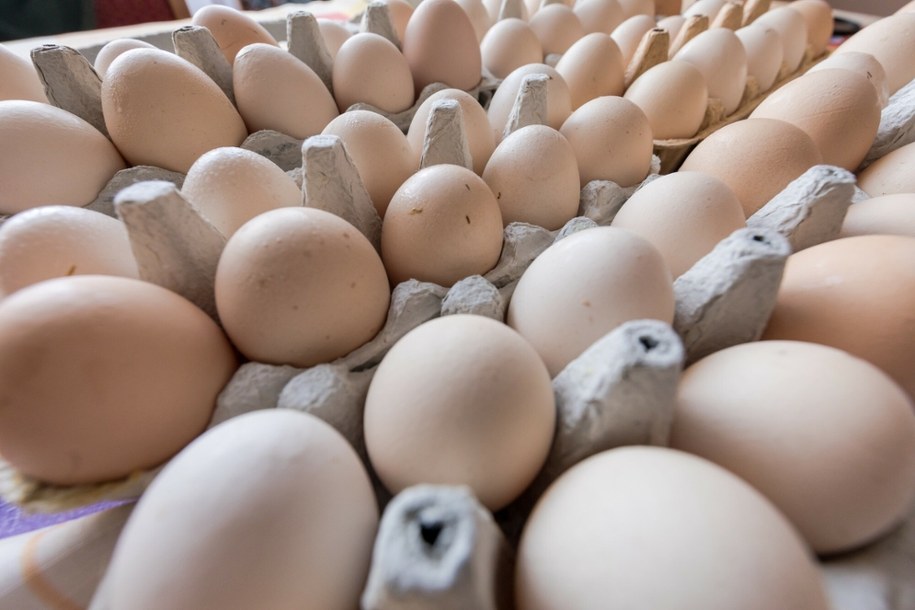 Ciąg dalszy problemów z jajami. Część sklepów sprowadza je z zagranicy