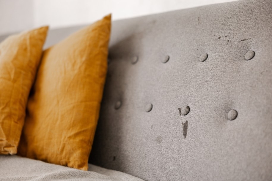 Porzucona sofa, która przyciąga tłumy. Jak stała się atrakcją turystyczną?
