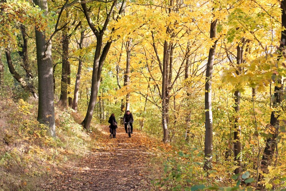 Jesienna szaruga odchodzi w niepamięć. Te prognozy Cię ucieszą