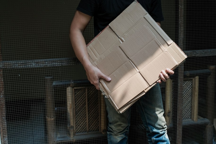 Martwa gęś w kartonie. Hodowczyni oskarżona o okrucieństwo