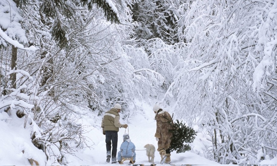Czy czekają nas białe święta? "Prognozy wyglądają obiecująco"
