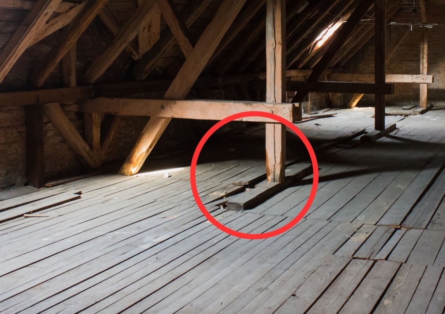 Niezwykłe odkrycie w Gliwicach. Przeleżał dekady ukryty pod podłogą