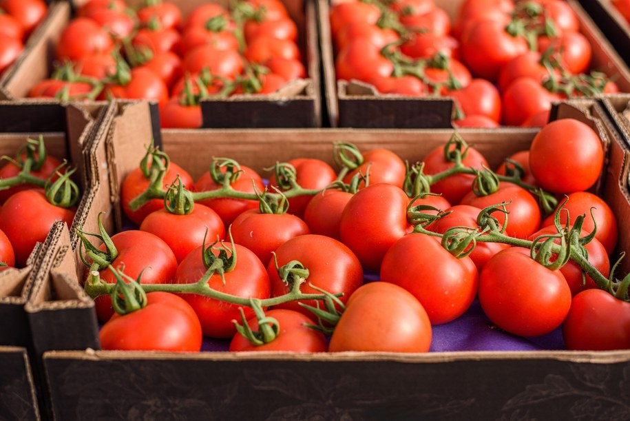 "Niespotykanie drogie". Złe wiadomości dla miłośników warzyw