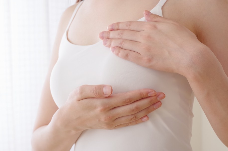 zdj. ilustracyjne /Shutterstock