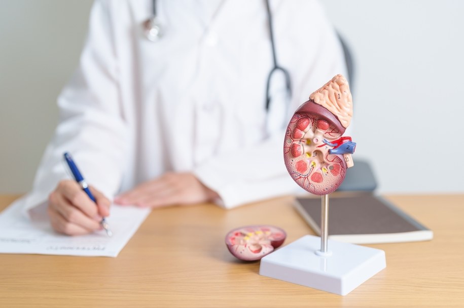 zdj. poglądowe/Co roku umiera z jego powodu ok. 2,5 tys. pacjentów. Co wiemy o raku nerki? /Shutterstock