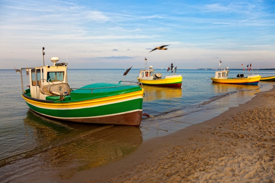 Zdj. poglądowe /Shutterstock