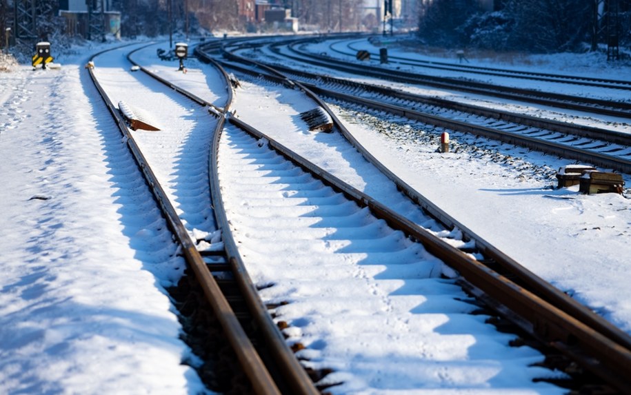 Zdj. poglądowe /Shutterstock