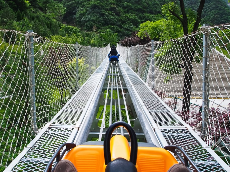 Zdj. poglądowe /Shutterstock